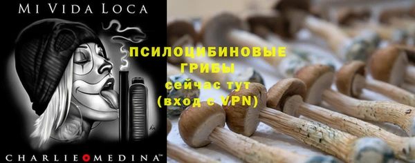 соль ск Алзамай