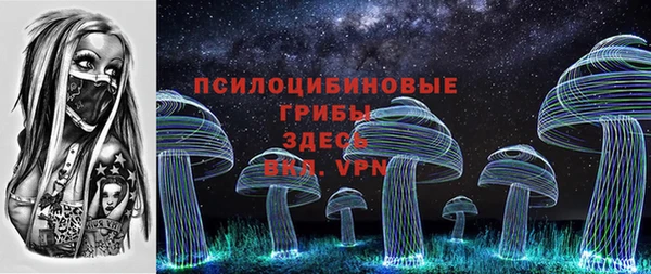 гашик Абаза