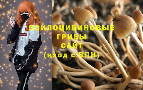первитин Алексин