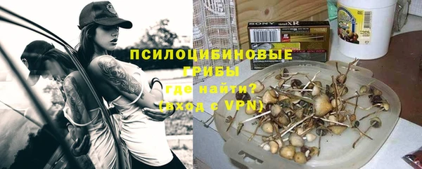 соль ск Алзамай